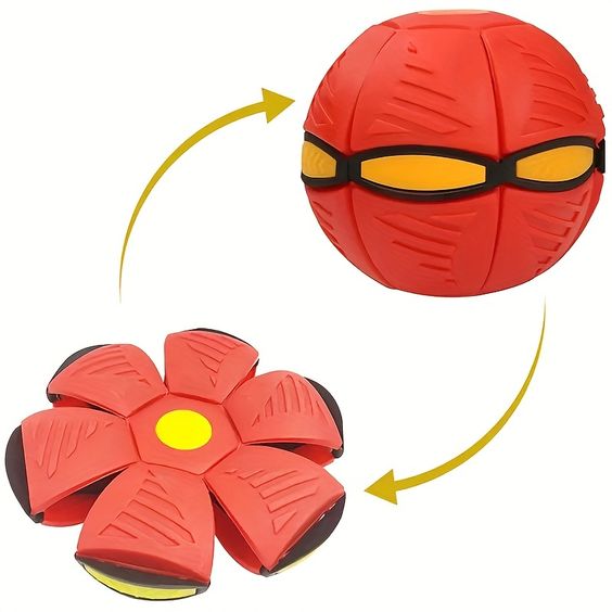 Throw Disc & Catch The Ball