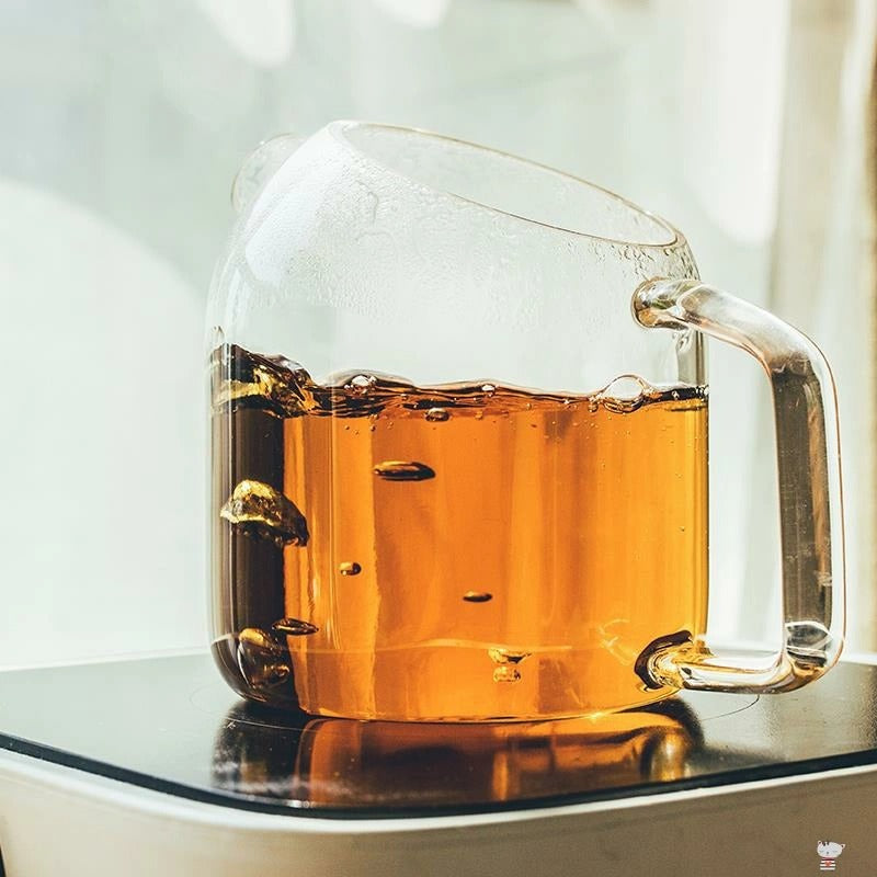 Borosilicate Glass Water Filter Jug