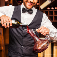 Cascade Wine Decanter (without Glass )