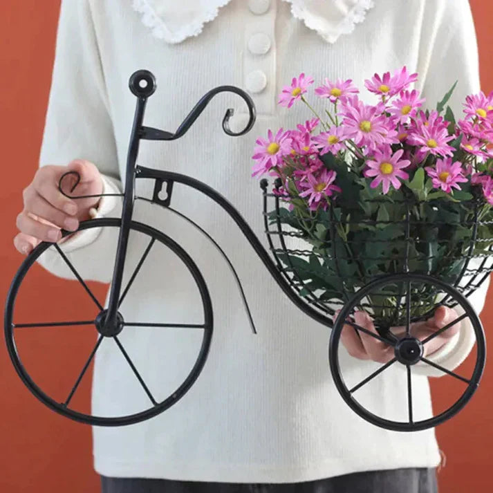 Bicycle Wall Basket