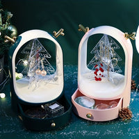 Earings And Necklace Organizer With Drawer