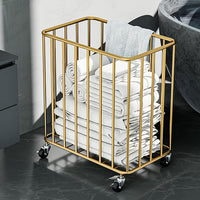 Premium Quality Laundry Bin