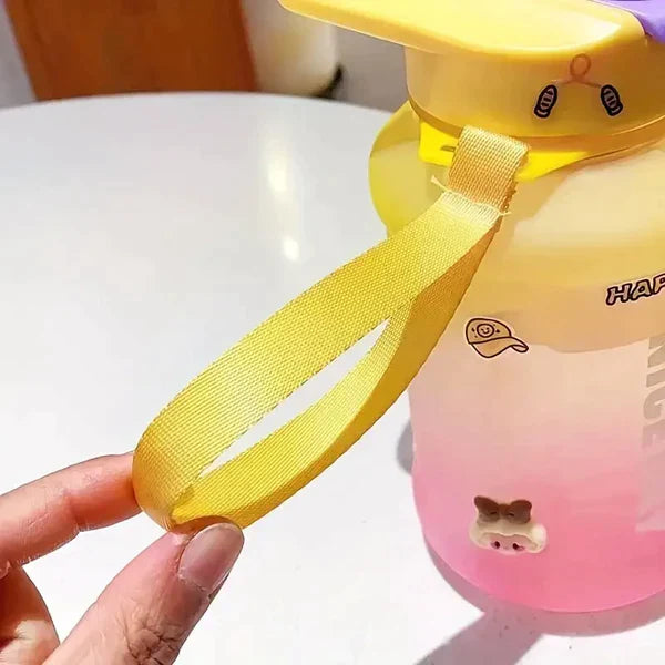 Gradient Water Bottle With Straw