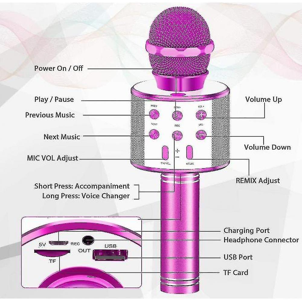 MicroPhone and Buletooth Speaker for Kids